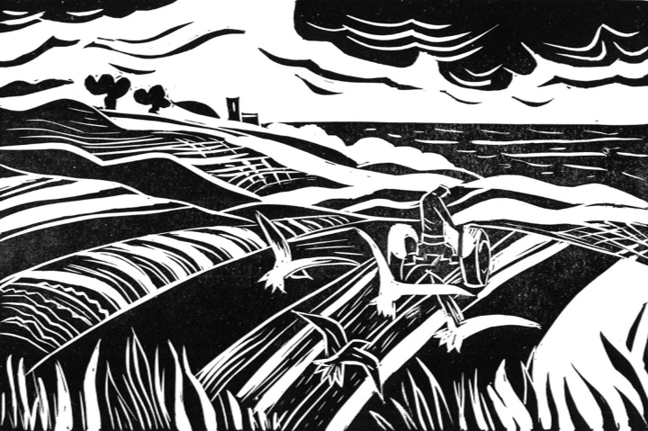 Following The Plough, Salthouse