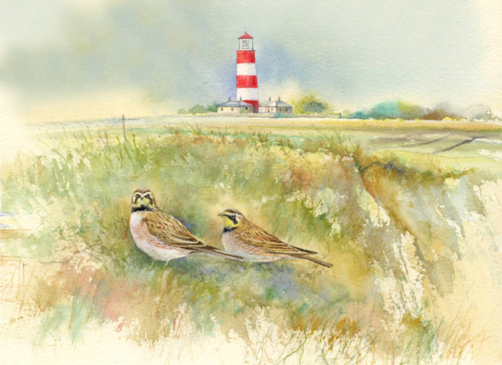 Happisburgh Shorelarks