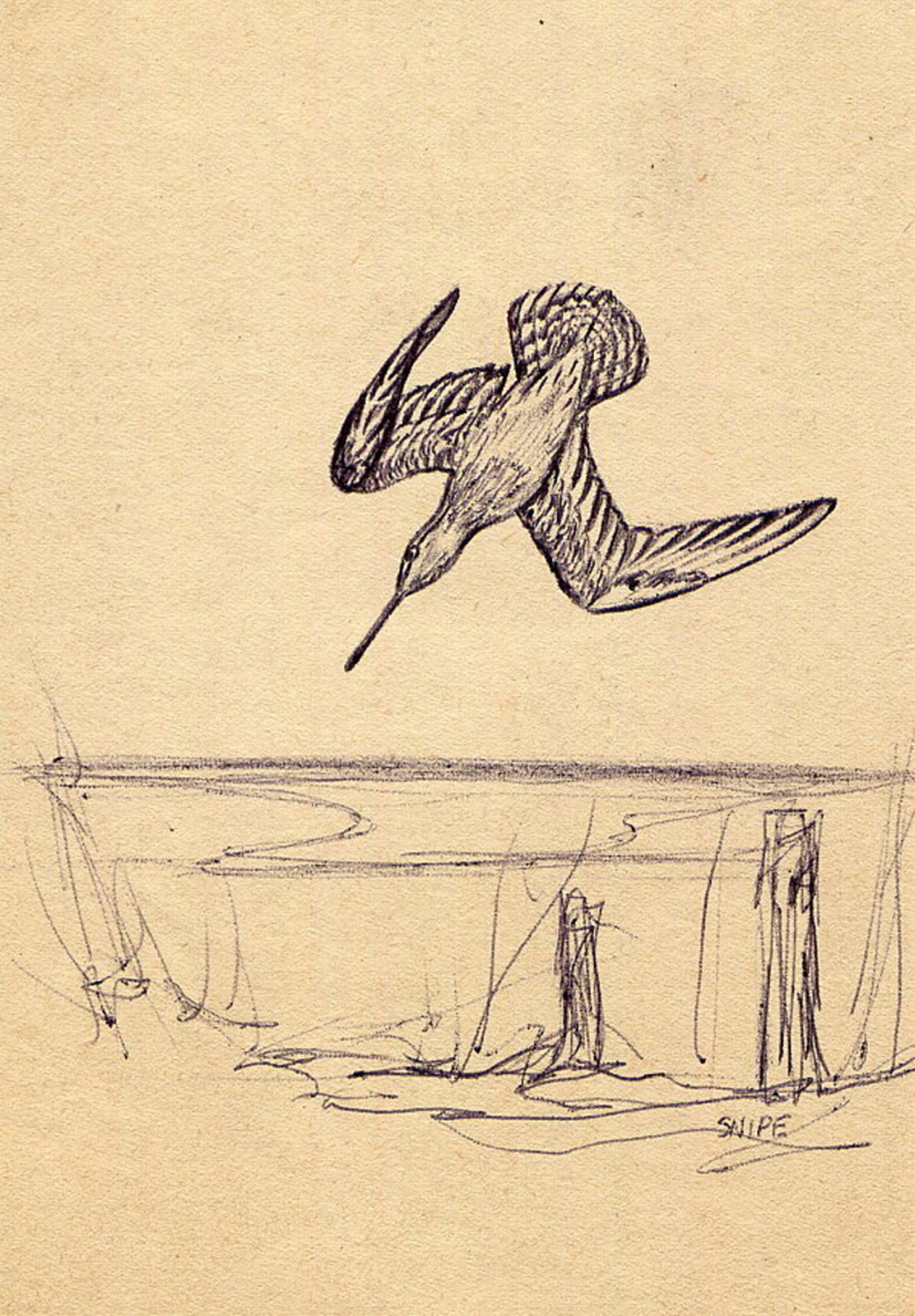 Snipe Biro Study, 1961